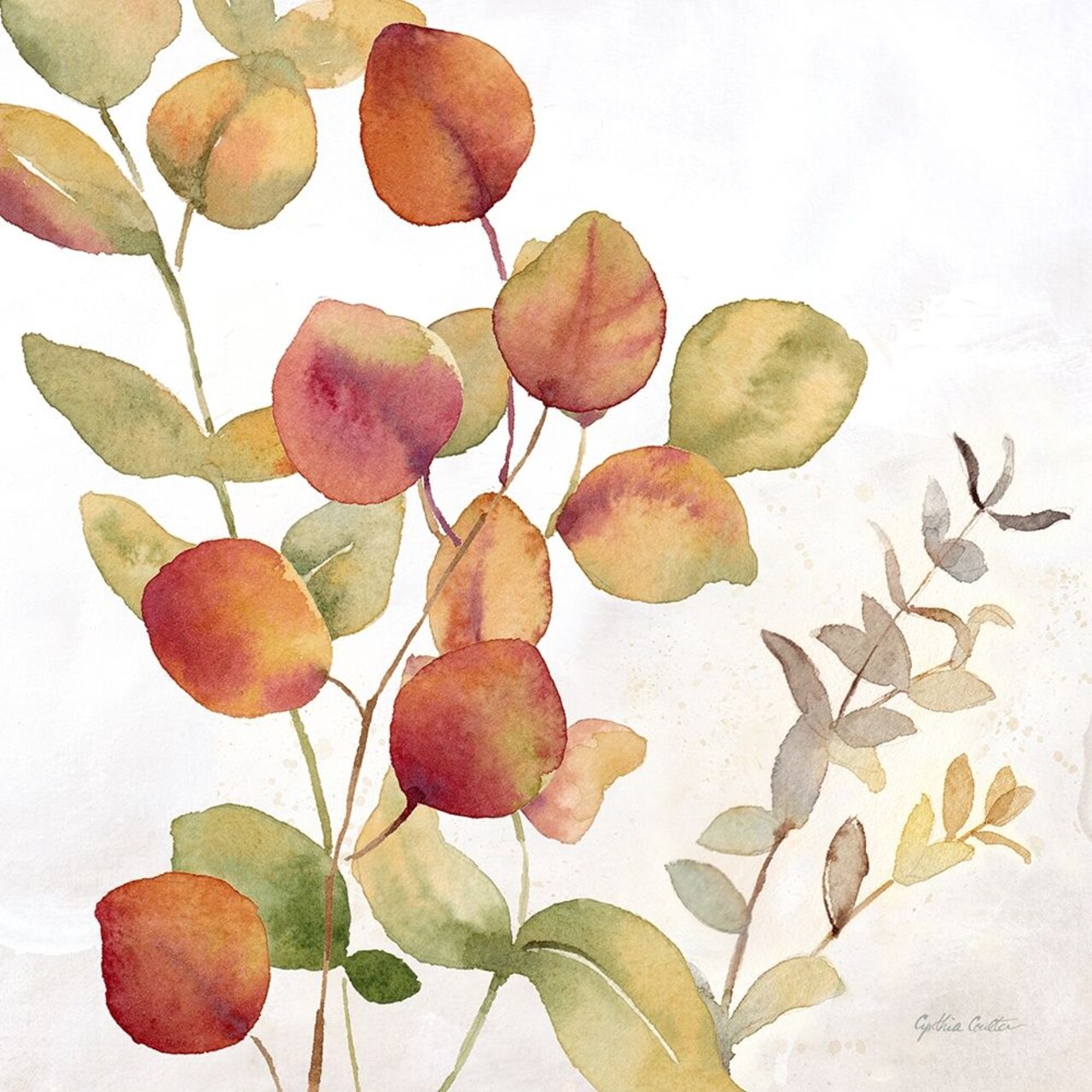Eucalyptus Leaves spice II Poster Print by Cynthia Coulter # RB14830CC